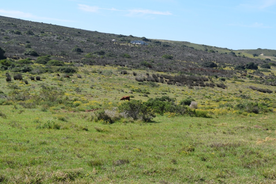 3 Bedroom Property for Sale in Stilbaai Rural Western Cape